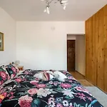 Geranium * Arbanasi