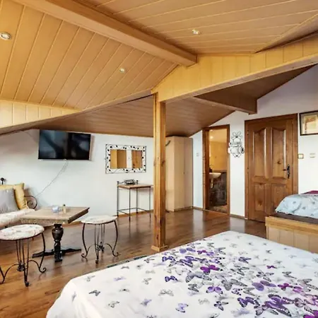 Geranium Willa Arbanasi