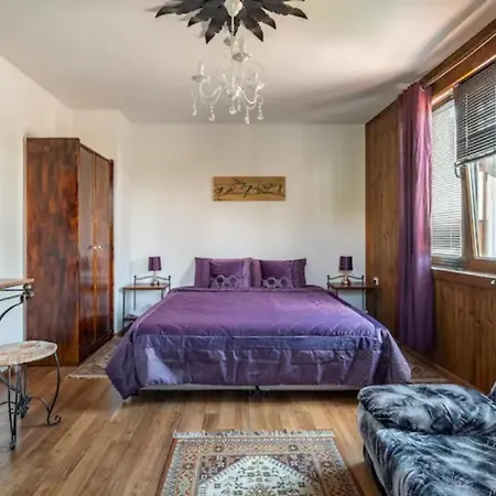 Geranium Vilă Arbanasi