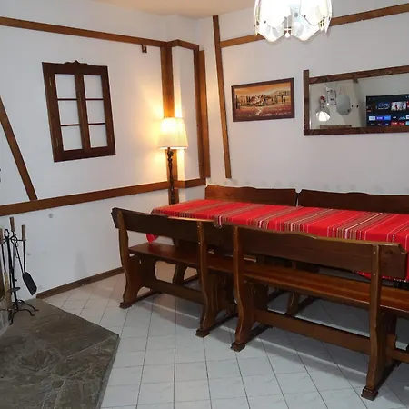 Geranium Vila *
